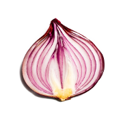 Onion Search Engine